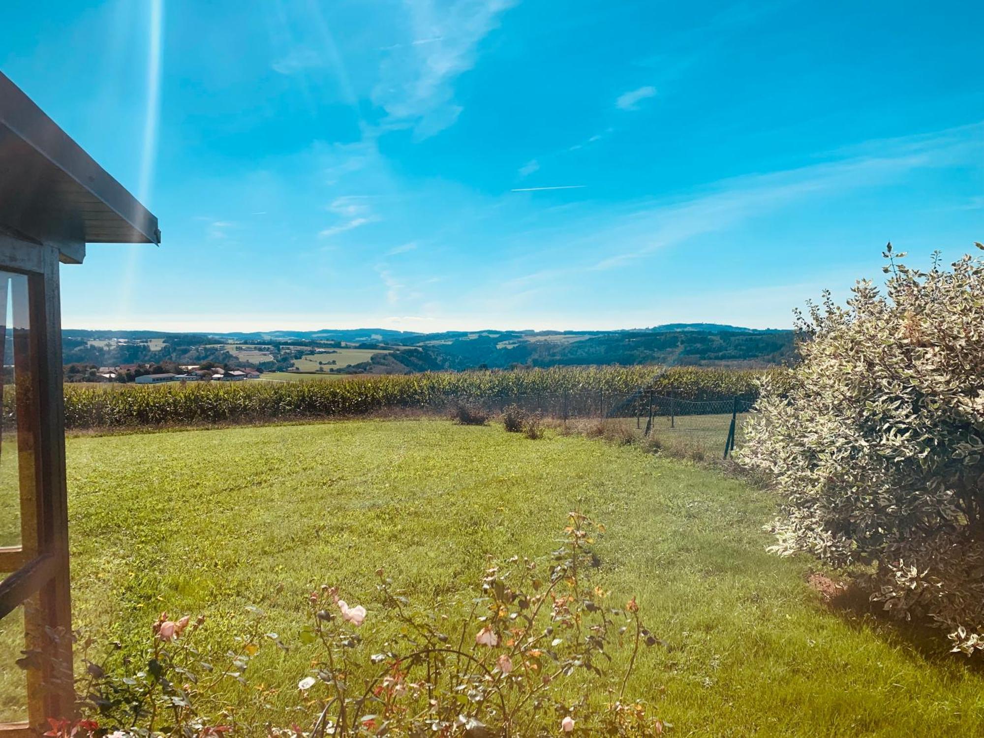 Adlerhorst, 4 Schlafzimmer, Blick In Die Alpen, Parkplatz Thyrnau エクステリア 写真
