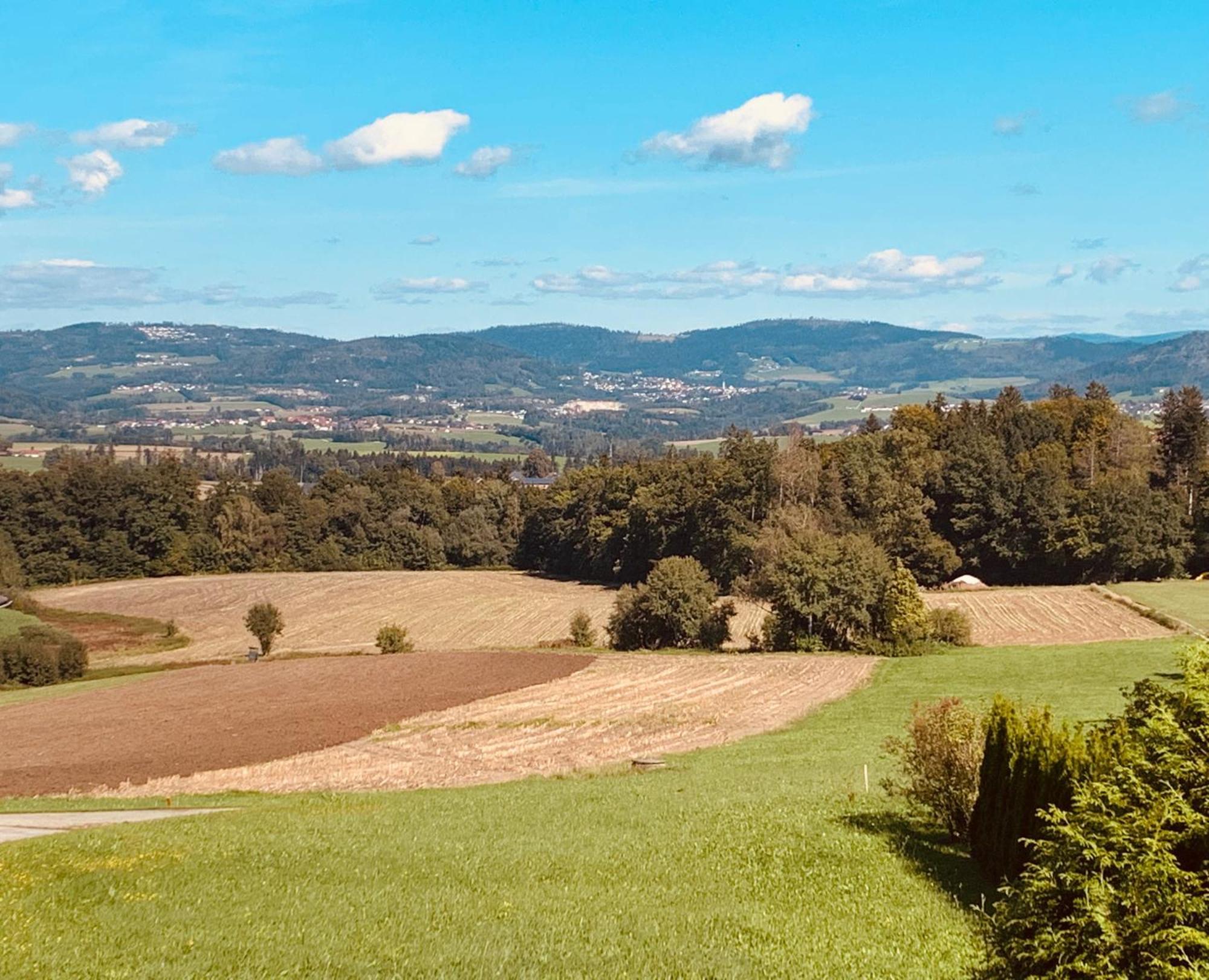 Adlerhorst, 4 Schlafzimmer, Blick In Die Alpen, Parkplatz Thyrnau エクステリア 写真